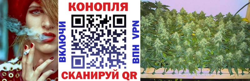 Купить где  Владикавказ  Канабис ГИДРОПОН 